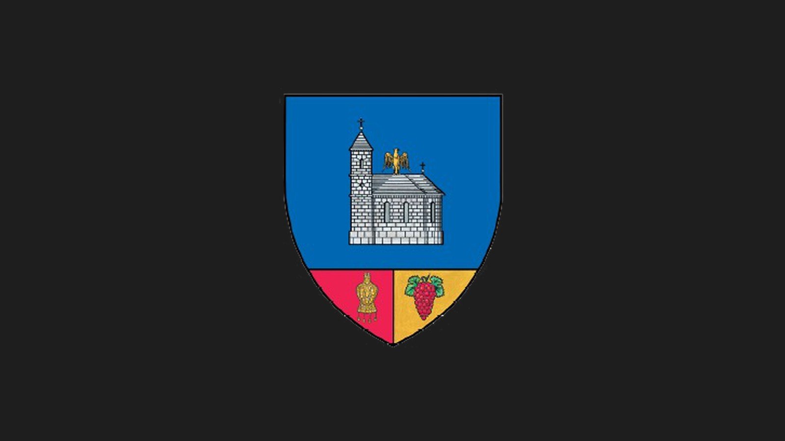Ședință publică a Consiliului Județean Buzău, 26 august 2026